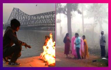 Winter In Kolkata: কুয়াশার দাপটে ব্যাকফুটে শীত, দৃশ্যমানতা কমার জেরে ব্যহত বিমান চলাচল