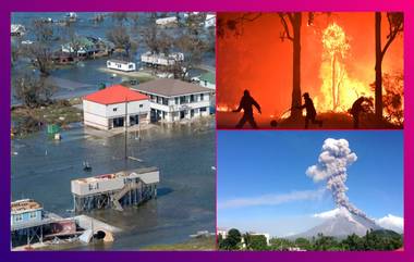 10 Deadliest Natural Disasters In 2020: পঙ্গপাল হানা, উত্তরাখণ্ডের দাবানল! বিভীষিকার ২০২০