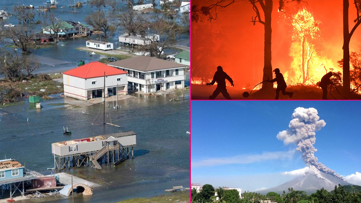 10 Deadliest Natural Disasters In 2020: পঙ্গপাল হানা, উত্তরাখণ্ডের দাবানল! আতঙ্কের ২০২০