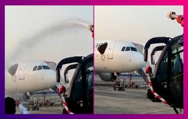 Swarm of Bees Attack Vistara Plane At Kolkata Airport: মৌমাছির দলকে ছত্রভঙ্গ করতে আনা হল জলকামান