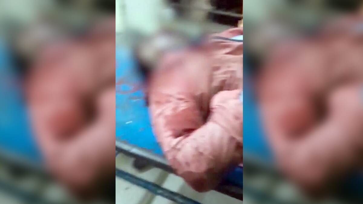 BJP Worker Killed In WB: হালিশহরে বিজেপি নেতাকে পিটিয়ে কুপিয়ে খুনের অভিযোগ BJP Worker Killed In WB: হালিশহরে বিজেপি নেতাকে পিটিয়ে কুপিয়ে খুনের অভিযোগ