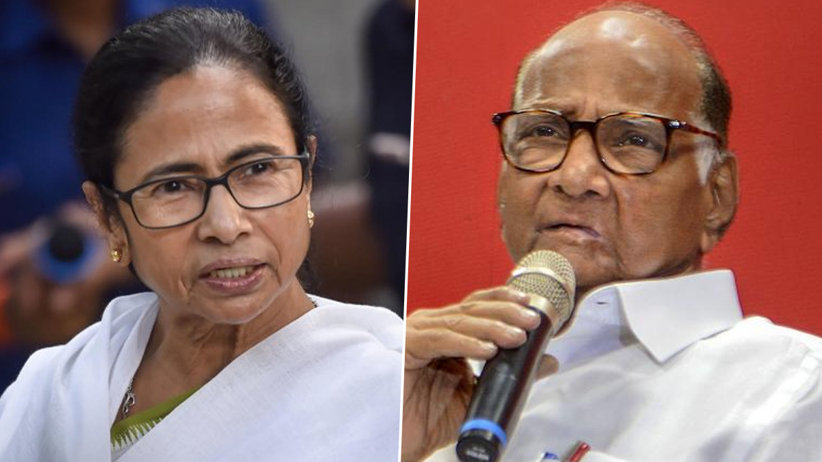 Sharad Pawar: ইন্ডিয়ার নেতৃত্বে মমতাকে সমর্থন শরদ পাওয়ারের, মহাধাক্কার পর ঘুরে দাঁড়াতে মরিয়া বিরোধী জোট