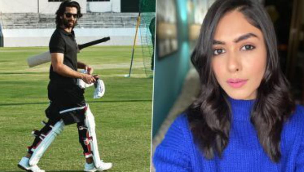 Jersey Shoot: চণ্ডীগড়ে কৃষক আন্দোলনের জের, বন্ধ শাহিদ কাপুর অভিনীত জার্সি ছবির শুটিং Jersey Shoot: চণ্ডীগড়ে কৃষক আন্দোলনের জের, বন্ধ শাহিদ কাপুর অভিনীত জার্সি ছবির শুটিং