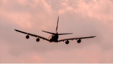 Suspension Of UK Flights Extented: ব্রিটেন থেকে বিমান পরিষেবায় নিষেধাজ্ঞা বাড়ল ৭ জানুয়ারি পর্যন্ত