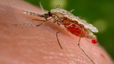 New Genus Of Malaria Detected In Kerala: কেরালায় পাওয়া গেল ম্যালেরিয়ার নতুন জেনাস 'প্লাজমোডিয়াম ওভালে'