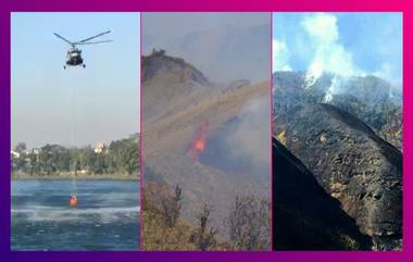 IAF Fights Forest Fire In Dzukou Valley: বিধ্বংসী আগুন কোহিমার জুকো উপত্যকায়, আগুন নিয়ন্ত্রণে ভারতীয় বায়ুসেনা