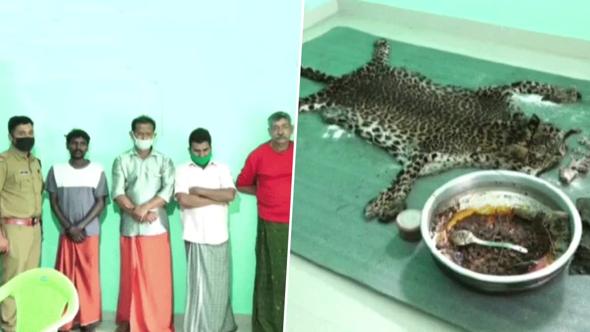 Kerala: লেপার্ড মেরে মাংস খাওয়া! কেরালায় ধৃত ৫ Kerala: লেপার্ড মেরে মাংস খাওয়া! কেরালায় ধৃত ৫