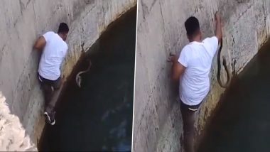 Man Jumps Into Well To Rescue Snake: কোবরা বাঁচাতে কুয়োতে ঝাঁপ যুবকের! দেখুন ভিডিও