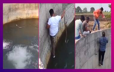 Man Saves Cobra In A Well: কুয়োর মধ্যে গোখরো, উদ্ধারে ঝাঁপ গ্রামবাসীর