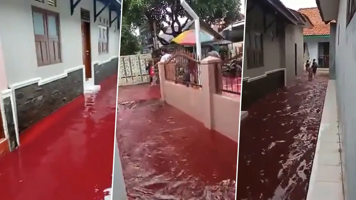 Indonesian Village Turns Red: লাল রঙের বন্যা বইছে এই গ্রামে, কিন্তু কেন?
