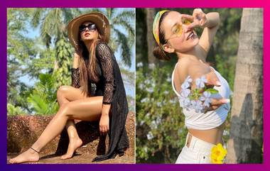 Mimi Chakraborty At Goa: গোয়ার বিচে কালো রঙের নেটের পোশাকে ভাইরাল মিমি