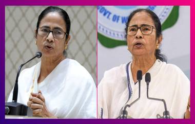 Mamata Banerjee's Assets: নগদ টাকার পরিমাণ এক লাখের কম, মমতা ব্যানার্জির নেই স্থাবর কোনও সম্পত্তি