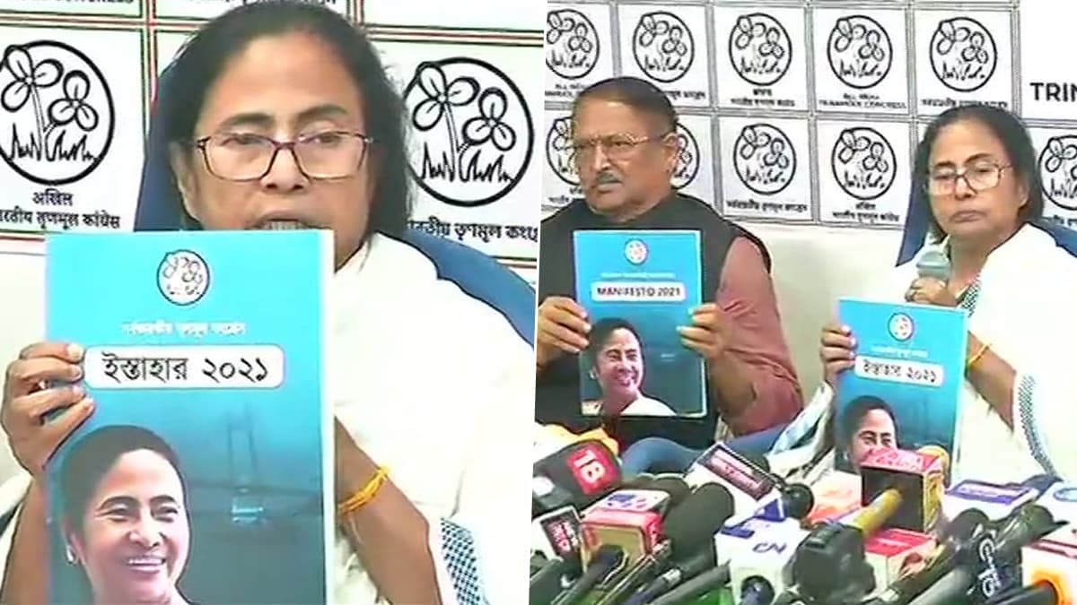 TMC Manifesto Highlights: প্রকাশ হল তৃণমূল কংগ্রেসের ইশতেহার, দেখুন কী কী প্রতিশ্রুতি দিলেন মমতা বন্দ্যোপাধ্যায় TMC Manifesto Highlights: প্রকাশ হল তৃণমূল কংগ্রেসের ইশতেহার, দেখুন কী কী প্রতিশ্রুতি দিলেন মমতা বন্দ্যোপাধ্যায়