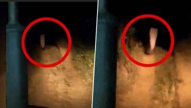 Real Ghost Caught on Camera?: রাতের অন্ধকারে হাড়হিম করা ভূতুড়ে ঘটনা, ভয় ধরিয়েছে ওড়িশার এই ভিডিও