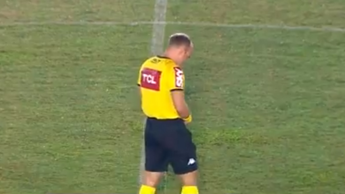 Referee Urinates on Field: ব্রাজিলের ফুটবল ম্যাচে এ কী কাণ্ড ঘটালেন! খোলা মাঠে রেফারির প্রস্রাব করার ভিডিও ধরা পড়ল ক্যামেরায়