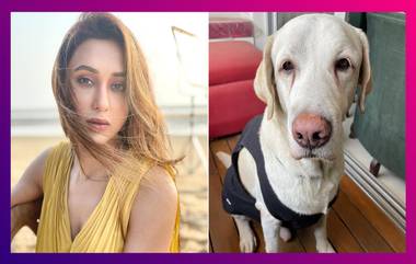 Mimi Chakraborty: মিমি চক্রবর্তীর পোষ্য আক্রান্ত ক্যান্সারে, প্রার্থনা রাজ চক্রবর্তীর