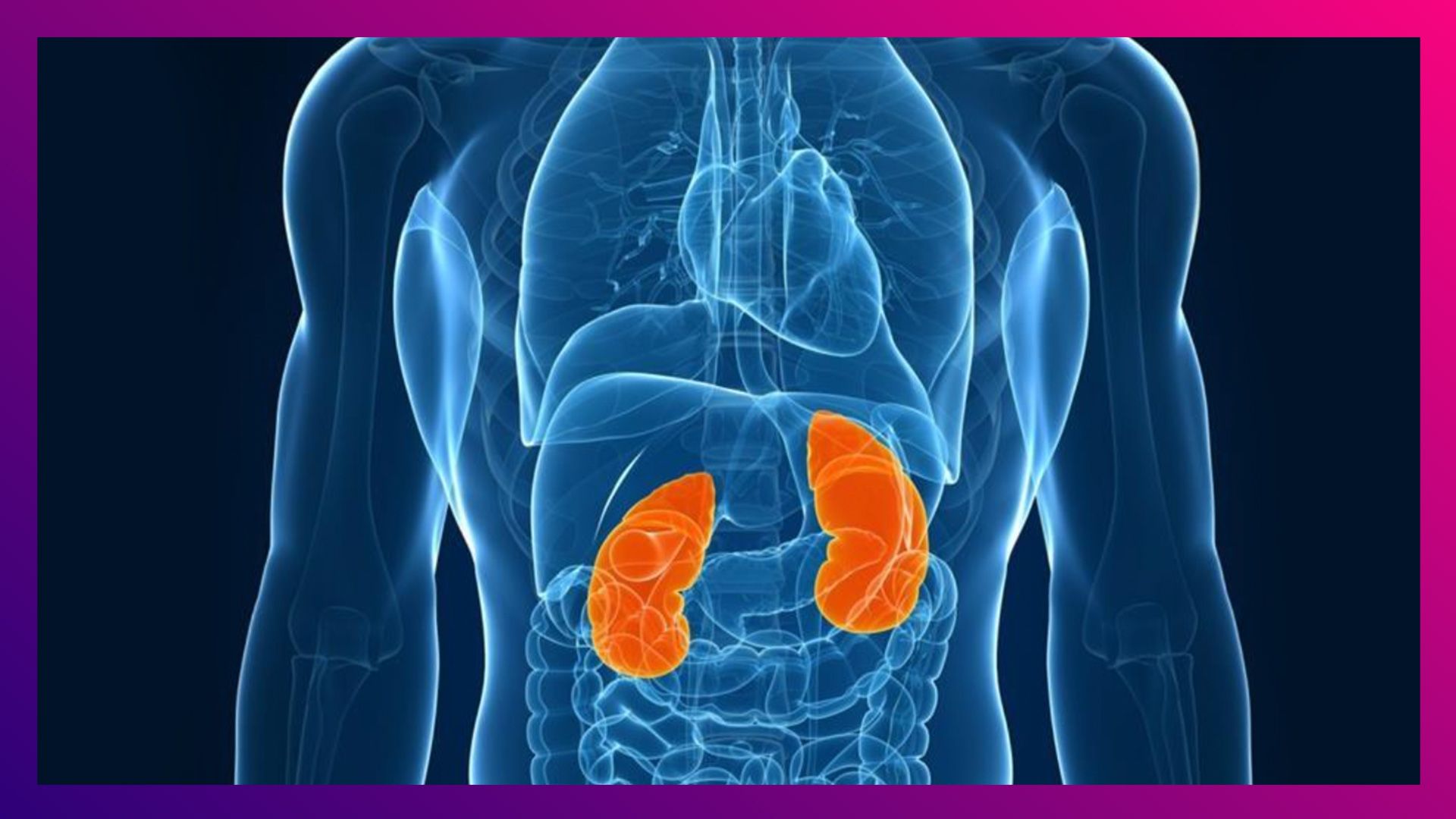 5 Tips To Keep Kidneys Healthy: রসুন থেকে বাঁধাকপি, কিডনি ভাল রাখতে ডায়েটে থাকুক এই ৫ সুপারফুড