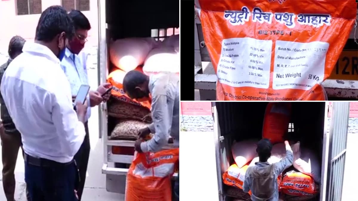 Maharashtra: মিড ডে মিলে চাল-ডালের পরিবর্তে স্কুলে এল পশুখাদ্য! Maharashtra: মিড ডে মিলে চাল-ডালের পরিবর্তে স্কুলে এল পশুখাদ্য!