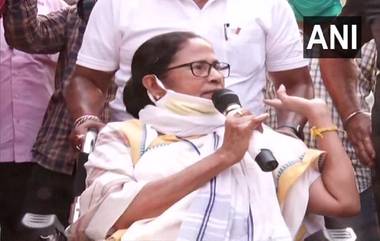 Mamata Banerjee: কলকাতায় আর বড় কোনও সভা নয়, সিদ্ধান্ত মমতা বন্দোপাধ্যায়ের