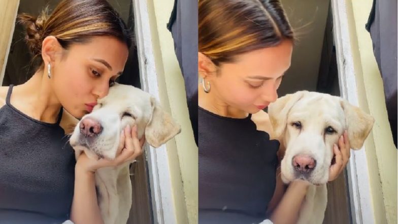 Mimi Chakraborty : চোখ ভরে যাচ্ছে জলে, চিকুর স্মৃতিতে মূহ্যমান মিমি