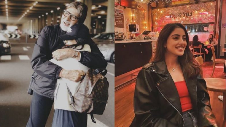 Navya Naveli Nanda : কাজ নিয়ে আক্রমণের মুখে নভ্যা, কী জবাব দিলেন অমিতাভের নাতনি