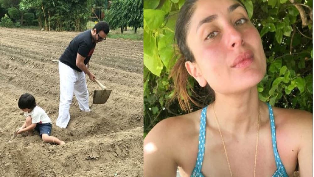 Kareena Kapoor Khan: 'আরও গাছ লাগান', ধরিত্রী দিবসে মাটির কাছাকাছি সইফ, তৈমুর Kareena Kapoor Khan: 'আরও গাছ লাগান', ধরিত্রী দিবসে মাটির কাছাকাছি সইফ, তৈমুর