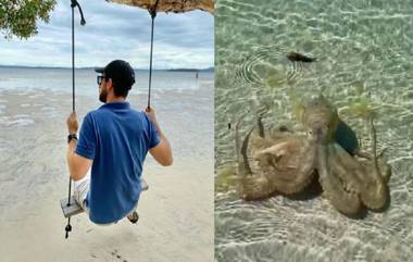 Australia : 'রাগী' অক্টোপাসের হামলায় বেসামাল ভূতাত্ত্বিক, ভাইরাল ভিডিয়ো