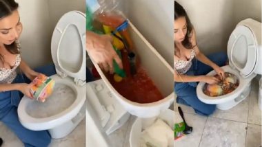 Party Drink Inside Toilet: কমোডের মধ্যে তৈরি ভয়ঙ্কর 'পার্টি ড্রিঙ্ক', ভিডিয়ো ভাইরাল অন্তর্জালে