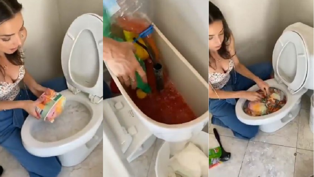 Party Drink Inside Toilet: কমোডের মধ্যে তৈরি ভয়ঙ্কর 'পার্টি ড্রিঙ্ক', ভিডিয়ো ভাইরাল অন্তর্জালে