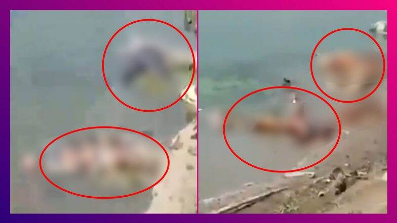 UP: উত্তরপ্রদেশে গঙ্গায় ভাসছে মৃতদেহ, আতঙ্ক UP: উত্তরপ্রদেশে গঙ্গায় ভাসছে মৃতদেহ, আতঙ্ক