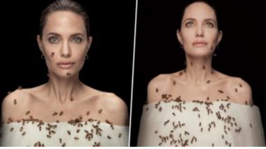 Angelina Jolie On World Bee Day: গা ভর্তি মৌমাছিতে অ্যাঞ্জেলিনা জোলি, ব্যাপারটা কী?