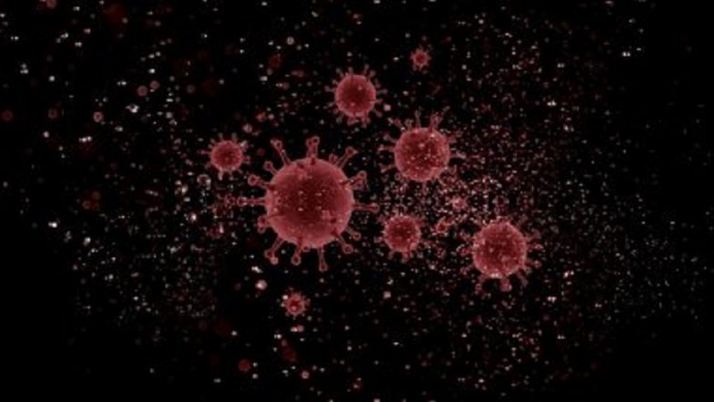 Mucormycosis Link With Coronavirus: করোনার মধ্যে ব্ল্যাক ফাঙ্গাসের চোখ রাঙানি, মারণ রোগের লক্ষ্মণ কী দেখুন