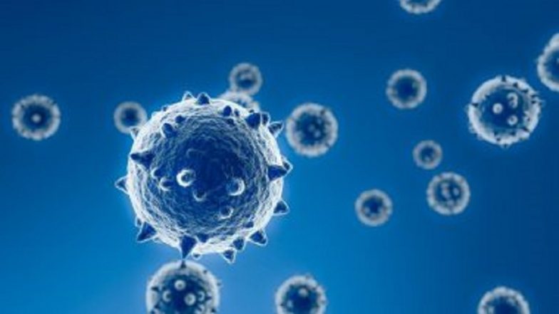 Indian COVID-19 Variant: করোনা ভাইরাসের ভারতীয় ভ্যারিয়েন্টে আক্রান্ত ১১ জন, চিন্তায় স্পেন
