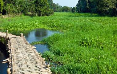 Assam: রিপোর্টিং করতে গিয়ে পাইথনের মুখে? অসমের মাজুলি দ্বীপের 'নাটুকে' ভিডিয়ো ভাইরাল