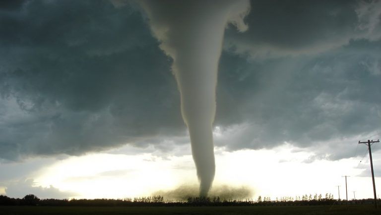 USA Tornado: টর্নেডোয় বিধ্বস্ত আমেরিকায় বাতিল ৭০০টি বিমান