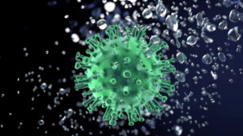 Bird Flu Strain In Chinese Man: বিশ্বে প্রথম, চিনা নাগরিকের শরীরে মিলল বার্ড ফ্লুর ভাইরাস