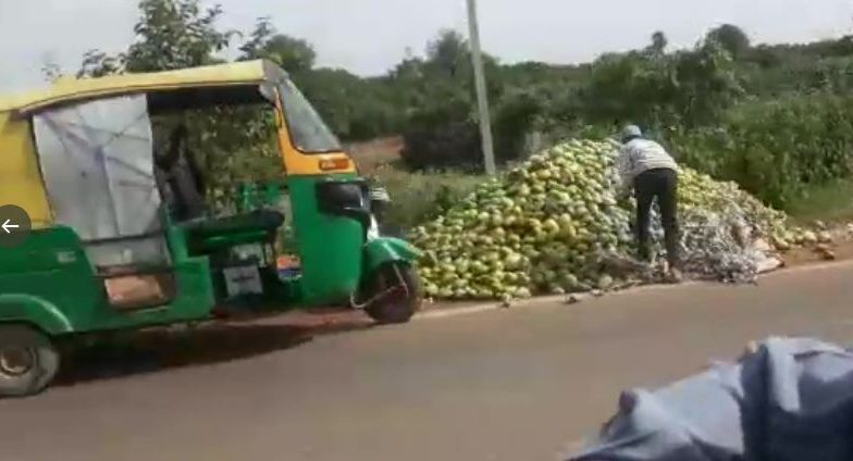 Mango: বিক্রি না হতাশায় রাস্তায় টন টন আম ফেলে নষ্ট করে দিচ্ছেন চাষীরা