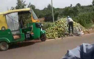 Mango: বিক্রি না হতাশায় রাস্তায় টন টন আম ফেলে নষ্ট করে দিচ্ছেন চাষীরা