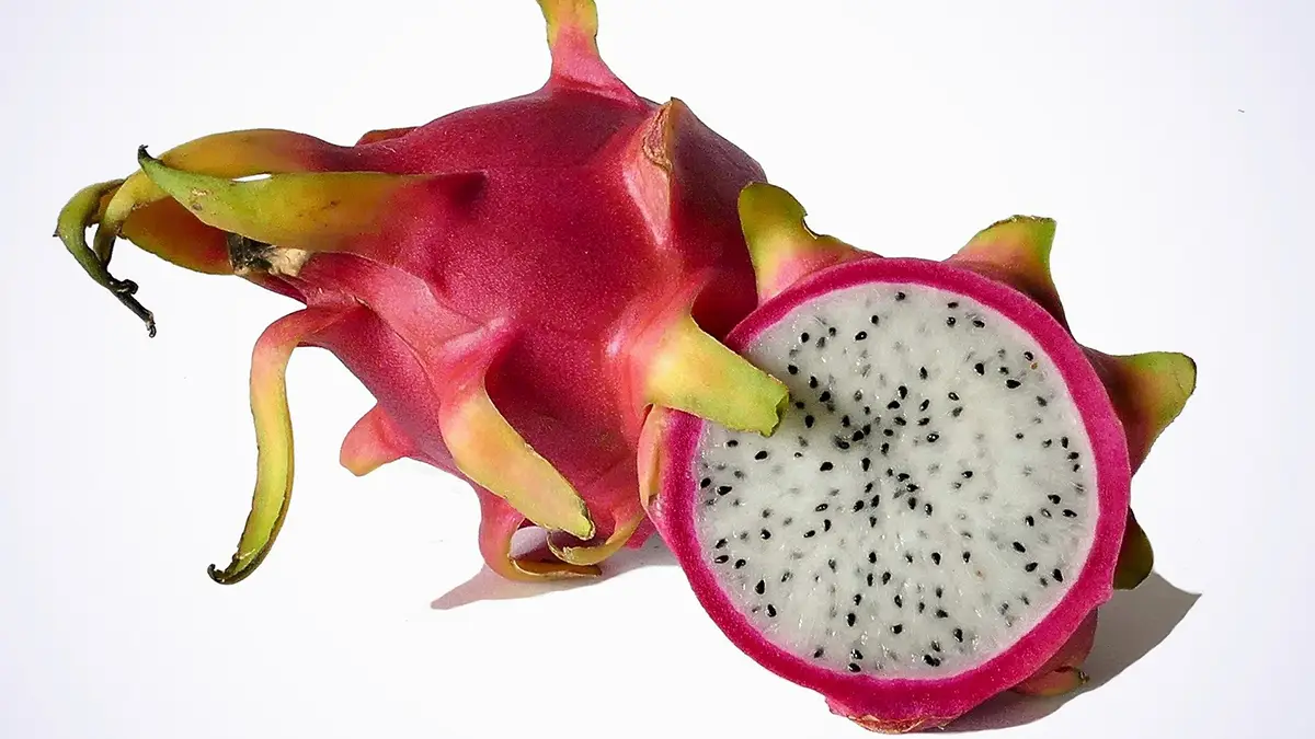 Dragon Fruit Export: মহারাষ্ট্র থেকে বিদেশি ড্রাগন ফল দুবাইতে রপ্তানি করা হয়েছে