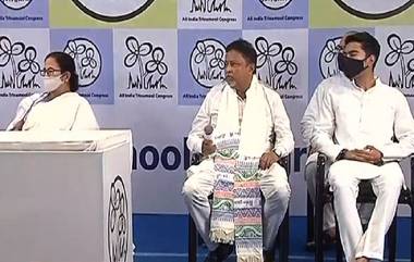 Mukul Roy: 'চমকে, ধমকে', এজেন্সি দেখিয়ে বিজেপিতে নেওয়া হয় মুকুলকে, বললেন মমতা