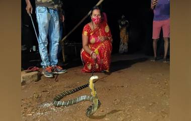 King Cobra: ছোট্ট ছেলেটা খেলনা ভেবে ধরতে গেল ৮ ফুটের কিং কোবরা, সাপকে ঝাঁপিয়ে ধরে ছেলেকে বাঁচাল মা