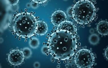 Coronavirus Cases In India: ১১ হাজারের কোঠায় অ্যাক্টিভ রোগী, বর্ষশেষে দৈনিক সংক্রমণ ১,০০৭