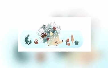 Winter Season 2021 Google Doodle: দক্ষিণ গোলার্ধে শীতের শুরুতে গুগলের চমৎকার ডুডল (দেখুন ছবি)