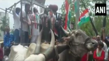 Maharashtra: জ্বালানির মূল্যবৃদ্ধির প্রতিবাদ, আন্দোলনের মাঝে ভেঙে পড়ল গরুর গাড়ি, দেখুন