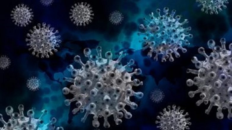 Kappa COVID-19 Variant: ডেল্টা প্লাসের পর কাপ্পা, করোনার নয়া প্রজাতির খোঁজ উত্তরপ্রদেশে, প্রথম মৃত্যু