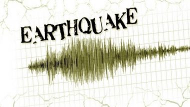 Earthquake: প্রবলভাবে কেঁপে উঠল ইন্দোনেশিয়া