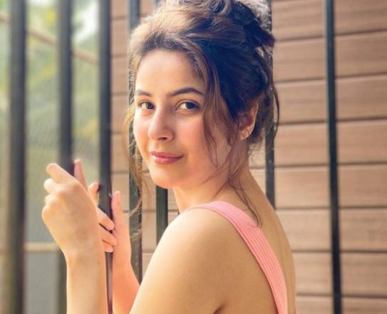 Shehnaaz Gill: ডাব্বু-র ক্যালেন্ডারে বড় নায়িকাদের চ্যালেঞ্জ ছুঁড়ছে শেহনাজ গিলের ছবি