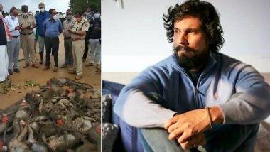 Randeep Hooda: ৬০টি বাঁদরকে নৃশংস হত্যা, মুখ্যমন্ত্রীর হস্তক্ষেপ চেয়ে গর্জে উঠলেন রণদীপ হুডা