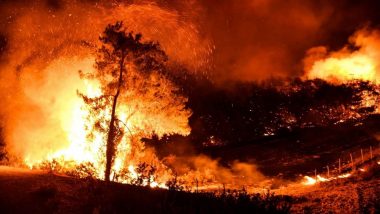 Italy Wildfire: দাবানলের গ্রাসে ইতালি, দাউ দাউ করে জ্বলছে গ্রোটেরিয়া, সতর্কতা