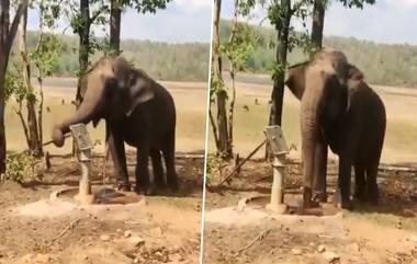 Viral Video: নিজেই কল পাম্প করে জল খাচ্ছে হাতি! ঝড়ের গতিতে ভাইরাল ভিডিয়ো